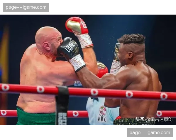 数据分析：对比富里与乌西克一番战的有效命中与出拳密度